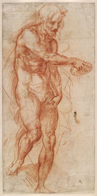 Studium św. Jana Chrzciciela, ok. 1518 autorstwa Andrea del Sarto