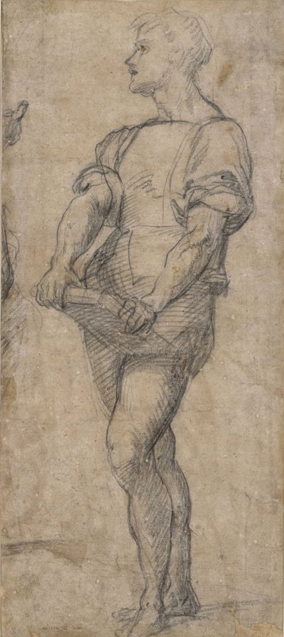 Stojąca młodzież z książką, ok. 1515 autorstwa Andrea del Sarto
