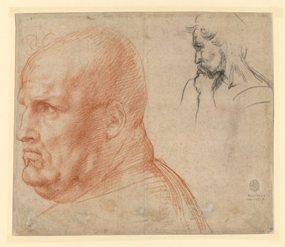 Studium dwóch głów autorstwa Andrea del Sarto