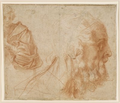 Arkusz studiów z młodzieńcem i głową starego mężczyzny zwróconą w prawo (Homer?) autorstwa Andrea del Sarto
