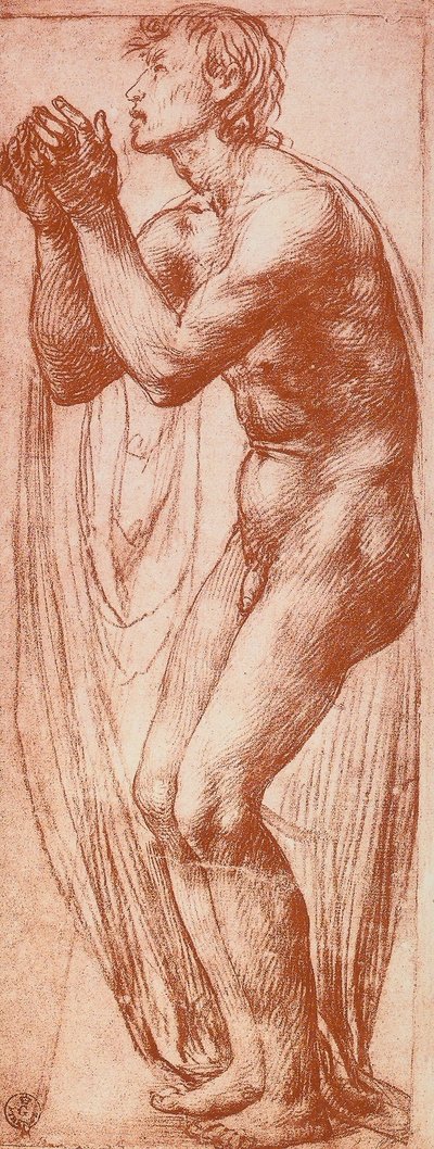 Studium postaci męskiej; rysunek autorstwa Andrei del Sarto. Gabinet Rysunków i Grafiki, Galeria Uffizi, Florencja autorstwa Andrea del Sarto