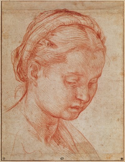Studium głowy św. Katarzyny do złożenia z Najświętszą Maryją Panną i świętymi w Pałacu Pitti, 1523-24 (czerwona kreda na papierze) (zob. 379730) autorstwa Andrea del Sarto