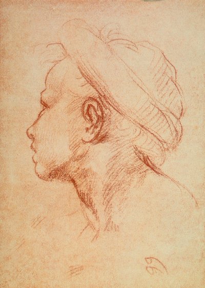 Młodzież kieruje z profilu autorstwa Andrea del Sarto