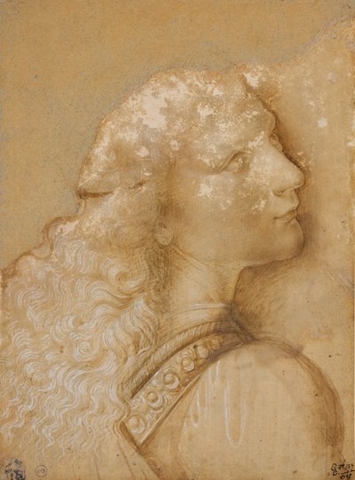 Popiersie młodzieńca, studium dla anioła „Chrztu Chrystusa” Verrocchio, ok. godz. 1475 (metalowa końcówka, ochra akwarela i biały tusz na przygotowanym papierze jasna ochra) autorstwa Andrea del Verrocchio