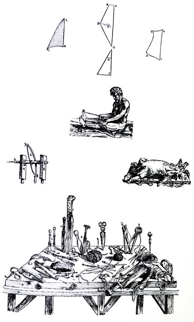 Płyty z II Księgi De Humani Corporis Fabrica autorstwa Andreas Vesalius