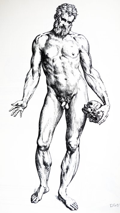 Płyty z siódmej księgi De Humani Corporis Fabrica autorstwa Andreas Vesalius