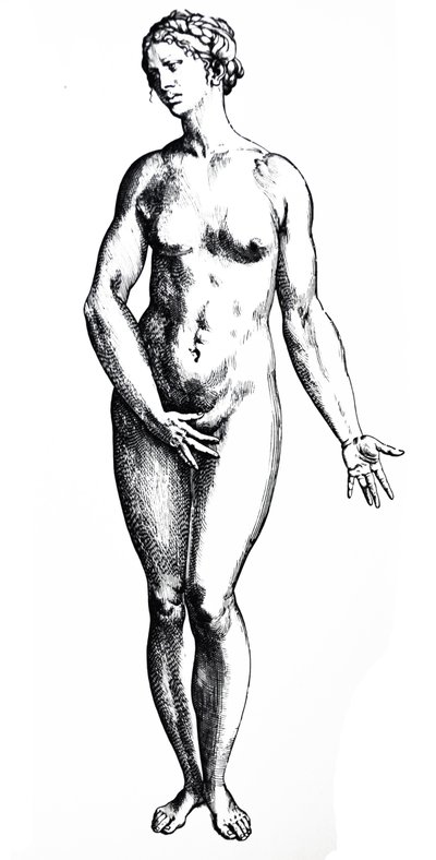 Płyty z siódmej księgi De Humani Corporis Fabrica autorstwa Andreas Vesalius