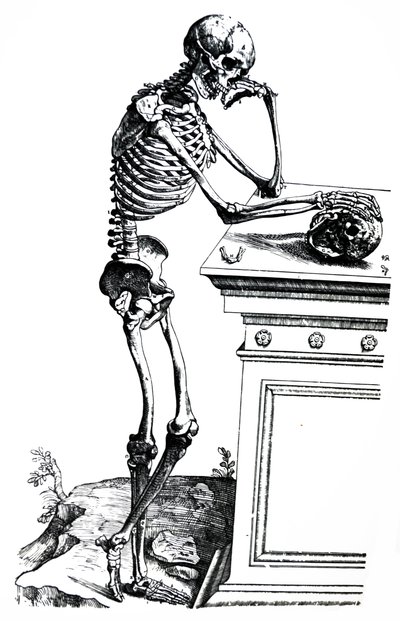 Płyty z siódmej księgi De Humani Corporis Fabrica autorstwa Andreas Vesalius