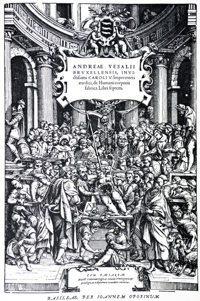 Strona tytułowa do drugiego wydania De Humani Corporis Fabrica, tabl. 3, 1555 autorstwa Andreas Vesalius