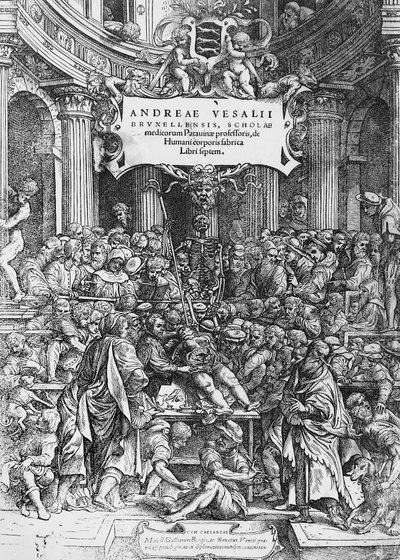 Strona tytułowa De humani corporis fabrica (łac. Na tkaninę ludzkiego ciała), gdzie Andreas Vesalius przedstawia sekcję zwłok autorstwa Andreas Vesalius