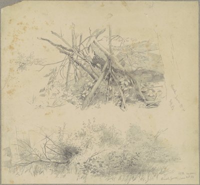 Szczotka; i Hudson Brush Fence autorstwa Andrew Fisher Bunner