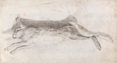 Martwy Zając autorstwa Andrew Geddes