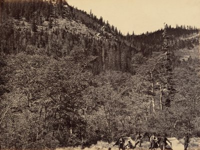 Płyta 19. Wśród drewna na czele rzeki Little Laramie, 1869 (zdjęcie) autorstwa Andrew Joseph Russell