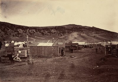 Płyta 29. Bear River City, w pobliżu pól węglowych, 1869 r. (zdjęcie) autorstwa Andrew Joseph Russell
