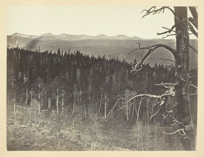 Linia śniegu i drewna, Medicine Bow Mountain autorstwa Andrew Joseph Russell