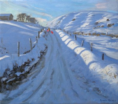 Gołąb, 2011 (olej na płótnie) autorstwa Andrew Macara