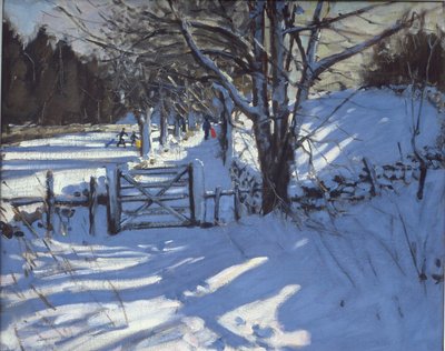 Brama w pobliżu Youlgreave, Derbyshire autorstwa Andrew Macara