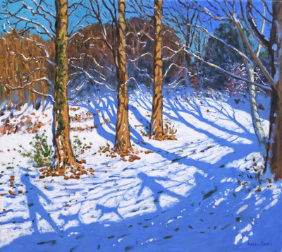 listopadowy śnieg, Allestree Park, Derby, 2017, autorstwa Andrew Macara