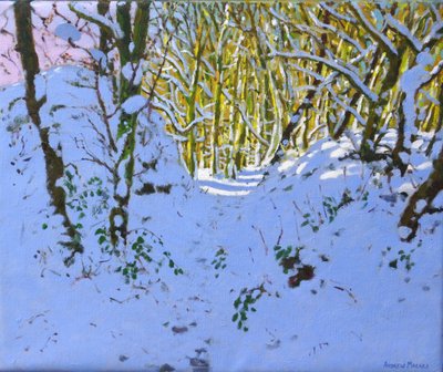 Ścieżka przez las zimą Derbyshire (olej na płótnie) autorstwa Andrew Macara