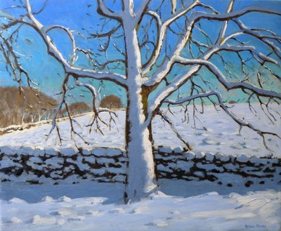 Drzewo pokryte śniegiem, 2011 (olej na płótnie) autorstwa Andrew Macara