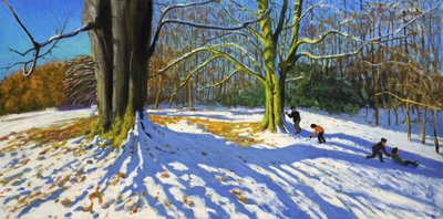 Szczyt parku Allestree, 2014 (olej na płótnie) autorstwa Andrew Macara