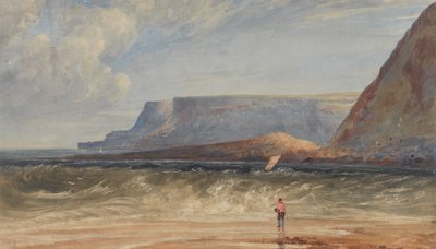 Wybrzeże Antrimu autorstwa Andrew Nicholl