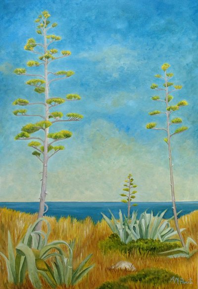 Agave nad oceanem autorstwa Angeles M. Pomata