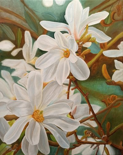 Kwitnąca biała magnolia autorstwa Angeles M. Pomata