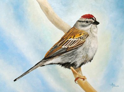 Sparrow siedzący na gałęzi autorstwa Angeles M. Pomata