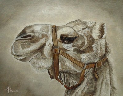 Delikatny portret wielbłąda autorstwa Angeles M. Pomata