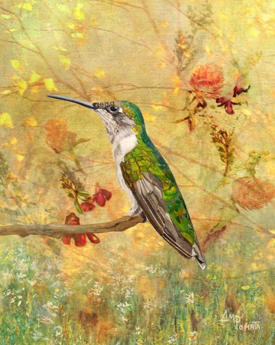 Złota ławeczka dla kolibrów autorstwa Angeles M. Pomata