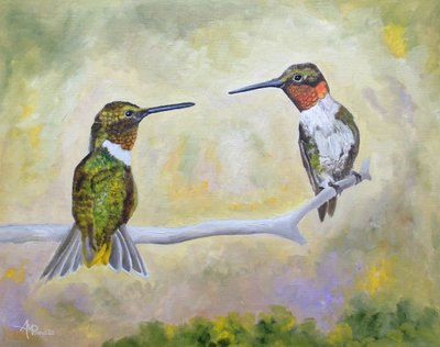 Para kolibrów siedząca na gałęzi autorstwa Angeles M. Pomata