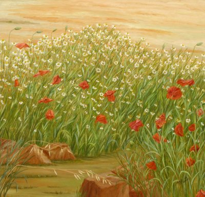 Letnie maki i pole stokrotek autorstwa Angeles M. Pomata
