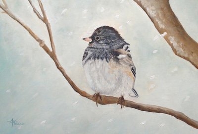 Zimowy junko autorstwa Angeles M. Pomata