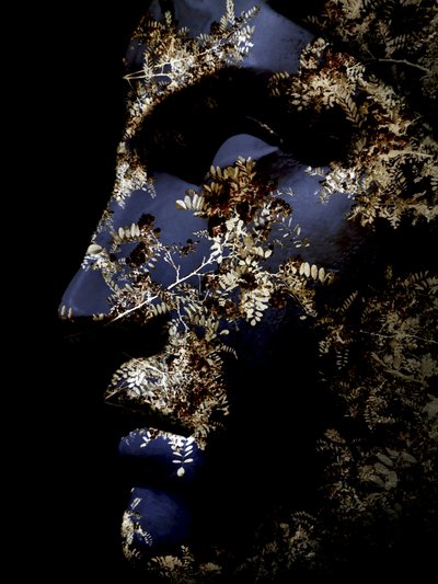 Spokojny profil botaniczny autorstwa Angelo Cerantola
