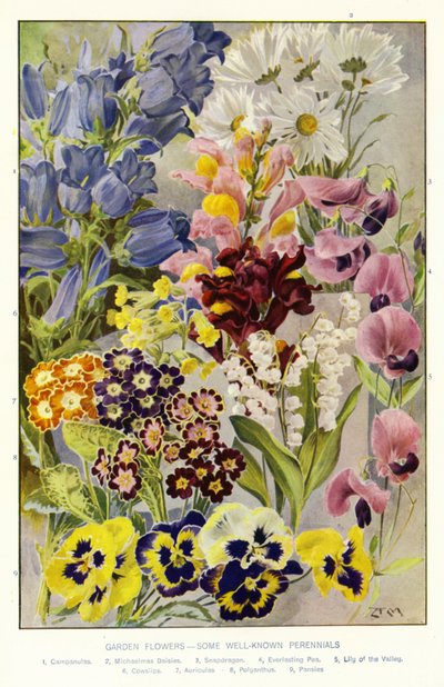  autorstwa Angelo Fairfax Muckley