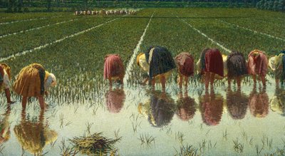 Za osiemdziesiąt groszy, Angelo Morbelli (1853-1919), Olej na płótnie, 67,5x124,5 cm autorstwa Angelo Morbelli