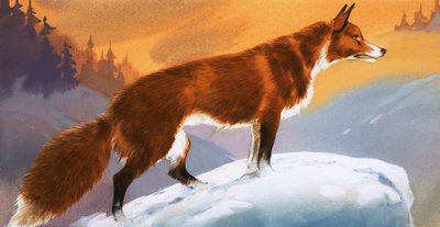 Lis w śniegu autorstwa Angus McBride