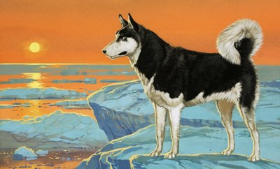 Pies husky autorstwa Angus McBride
