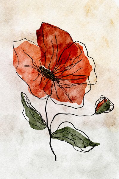 Czerwony mak namalowany akwarelą autorstwa Ankie Kooi
