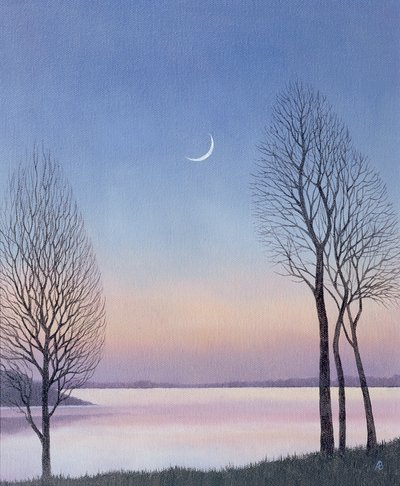 Zmierzch w Draycote, 2008 autorstwa Anna Phillips