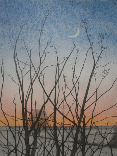 Z mojego okna, 2011 (kolorowa kredka na papierze) autorstwa Anna Phillips