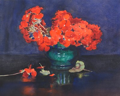 Pelargonie (akwarela) autorstwa Ann Spence Black