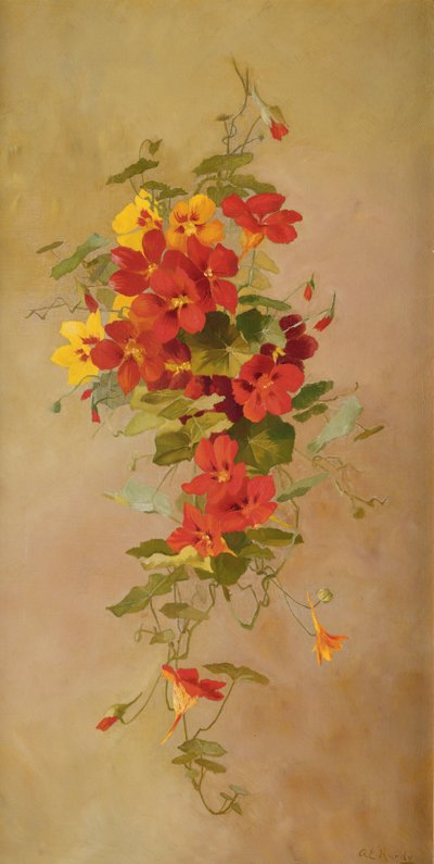 Nasturcje autorstwa Anna Eliza Hardy