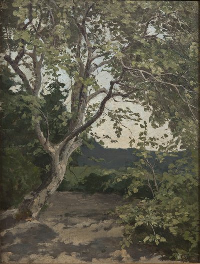 Studium drzewa (olej na papierze) autorstwa Anna Nordlander