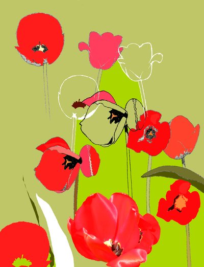 Tulipan autorstwa Anna Platts
