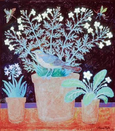  autorstwa Anna Pugh