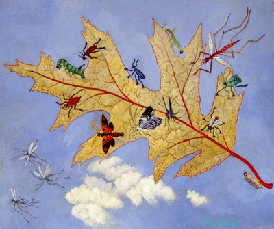Jesienny liść, 2009 (akryl) autorstwa Anna Pugh