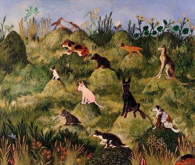  autorstwa Anna Pugh
