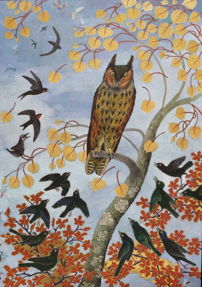  autorstwa Anna Pugh